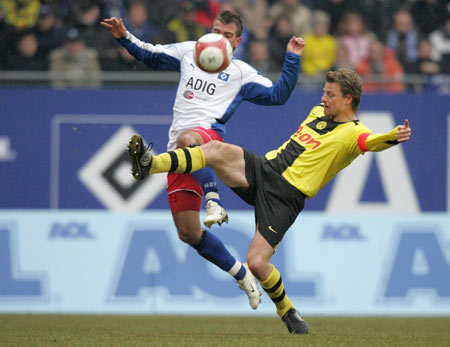 兰丘纳斯目 兰丘纳斯目